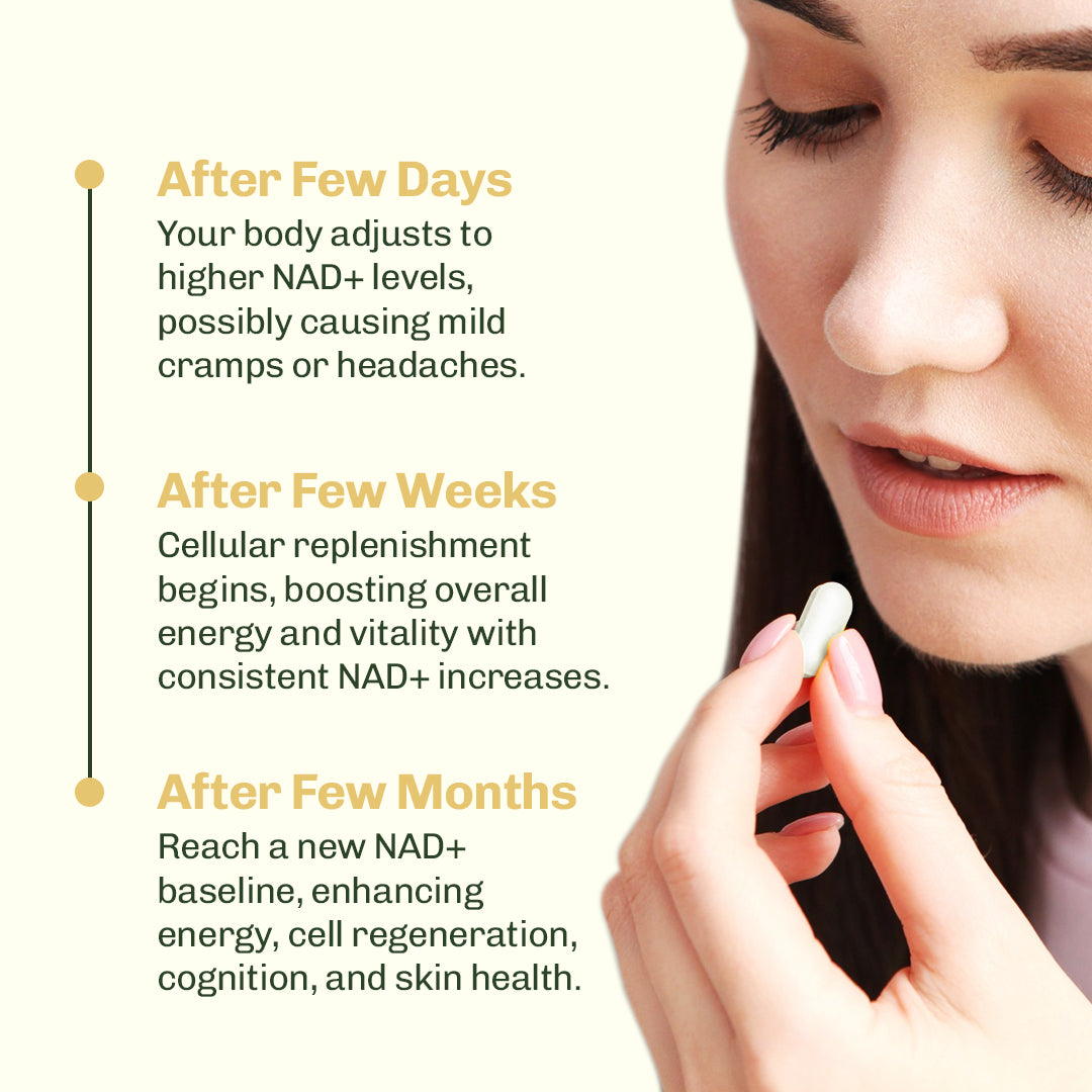 NAD+ Nicotinamide Riboside