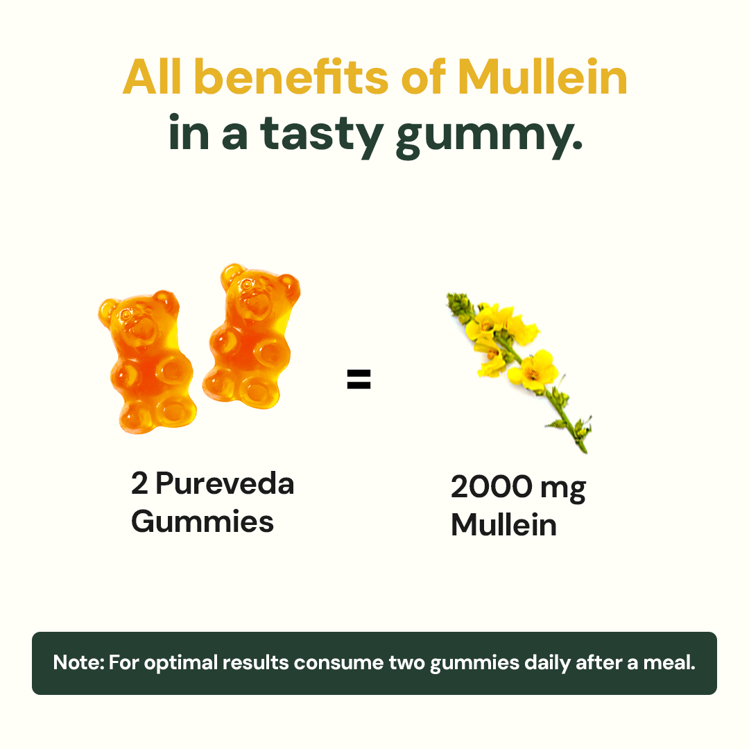 Mullein Gummies