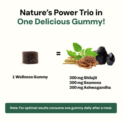 PureVeda™️ 3-in-1 Wellness Gummies