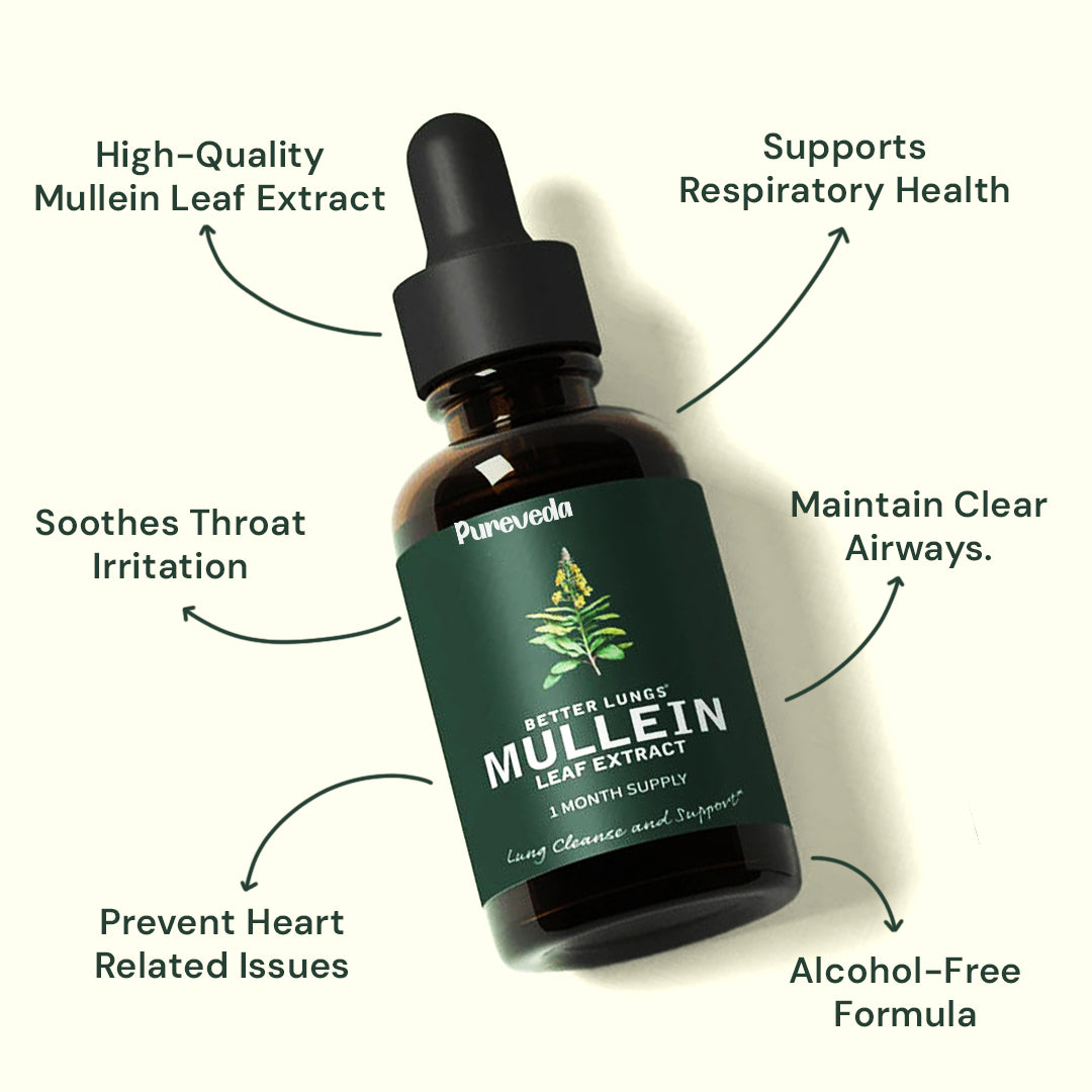 PureVeda® Mullein Extract