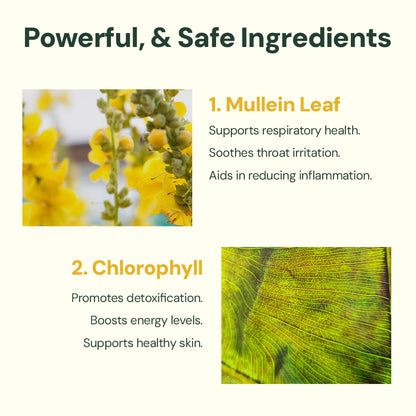 PureVeda® Mullein Extract